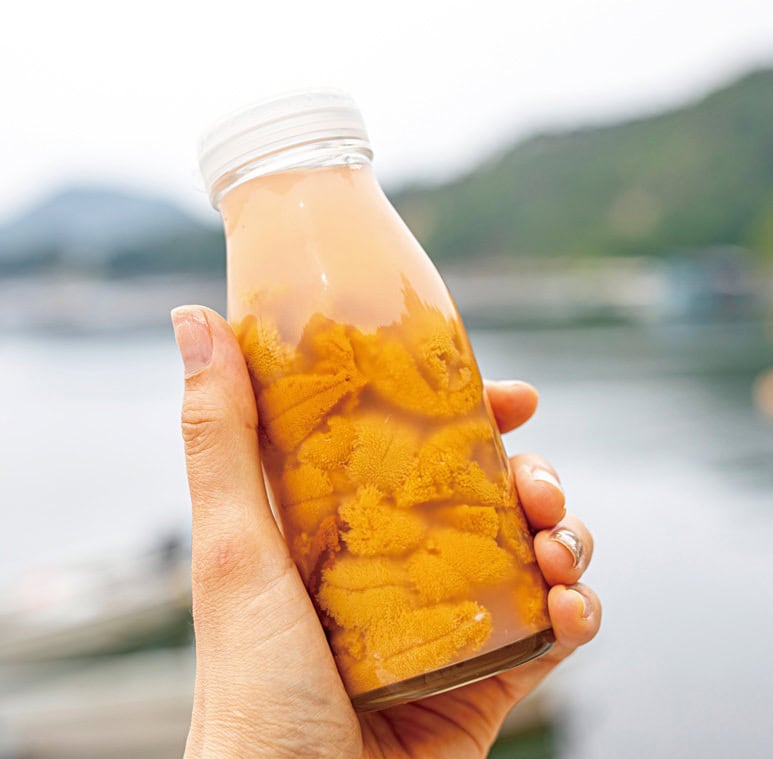 ウニのシーズンは5から8月。保存用は塩ウニに加工/宮城県気仙沼市