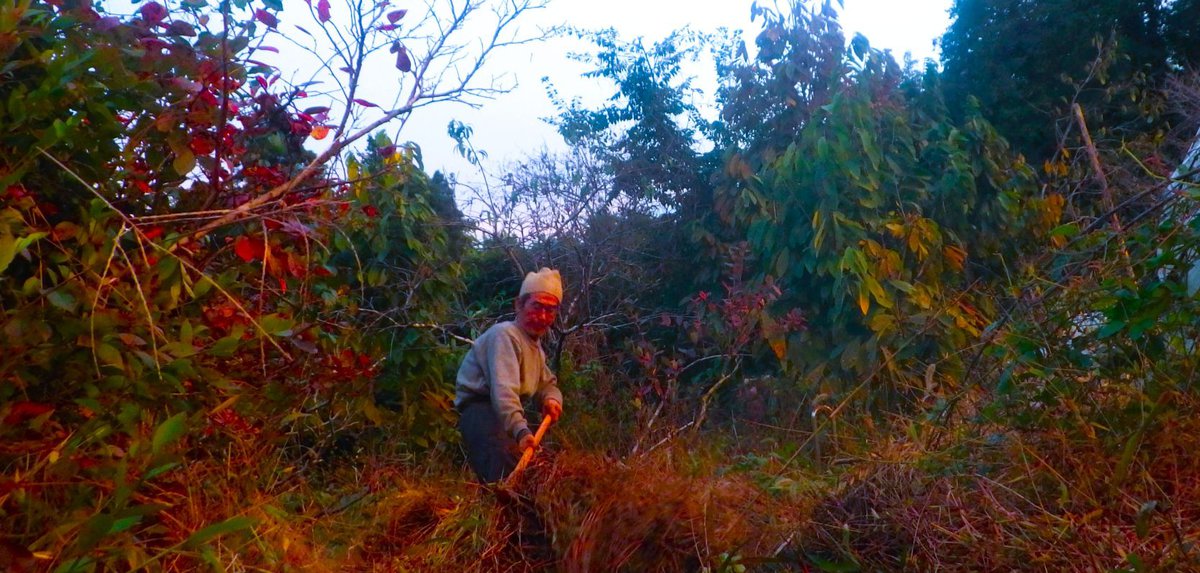 田舎暮らし。それは働くこと自体が生きることなのである。ワーク・イズ・ライフ。そのライフの中に小さなエンタメや喜びが点々と存在する。