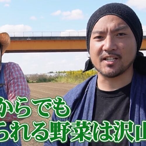 【11月でも間に合う!】初心者でも育てられる“冬に強い野菜”3選|農業YouTuberが解説