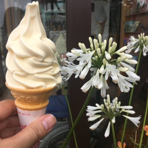 道の駅 とみうら 枇杷倶楽部(南房総市)