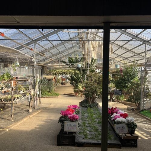 道の駅 おおつの里(南房総市)