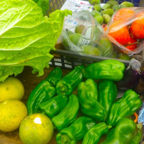 ピーマンはまだどっさり取れる。ビニールハウスの力は偉大なものだ。