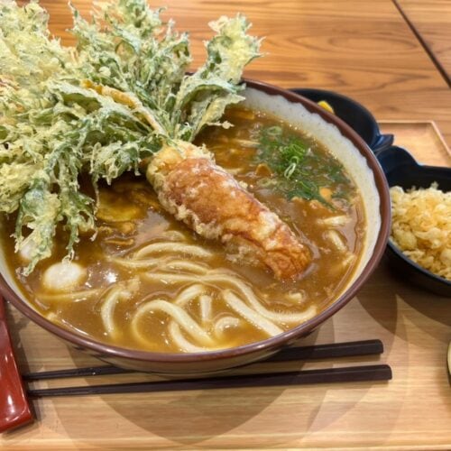 道の駅とよはしの「豊橋カレーうどん」