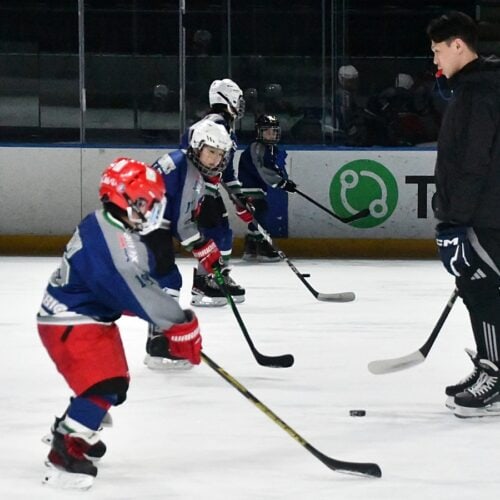 スクールの子どもたちにとってフリーブレインズの選手は憧れの存在であり目標となっている