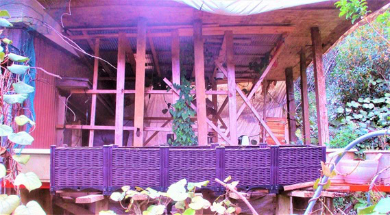 僕もカネを出してモノを買うことはある。しかし、会社勤めの人なんかに比べればDIYの機会は多いのではないか。前から書くように、家の修理は定期的にやっている。また太陽光発電のバッテリーを置く場所、寒さに弱い植物を置く場所、仕事で使う資材を置く場所、そんな小屋をこれまでに6つ作った。