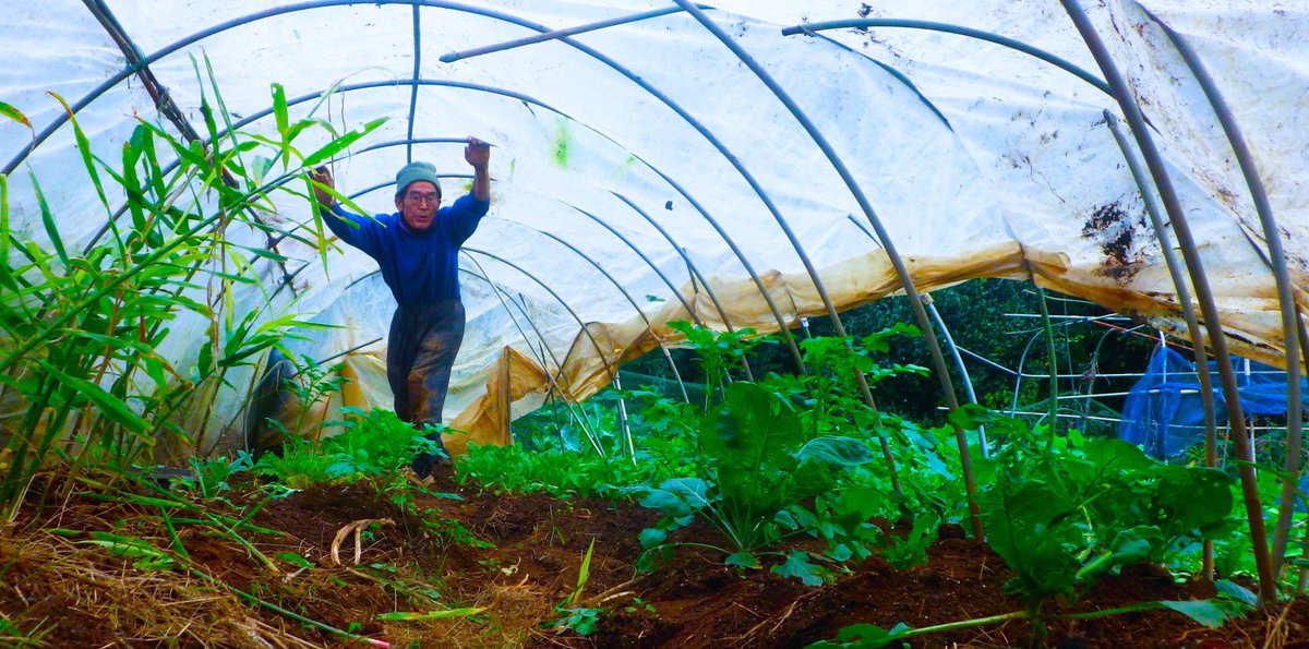 貧しさと豊かさと、その真ん中あたりにある田舎暮らし