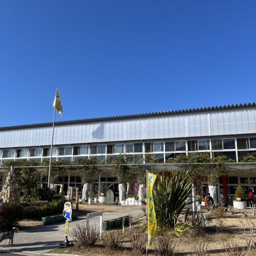 道の駅 保田小学校(鋸南町)