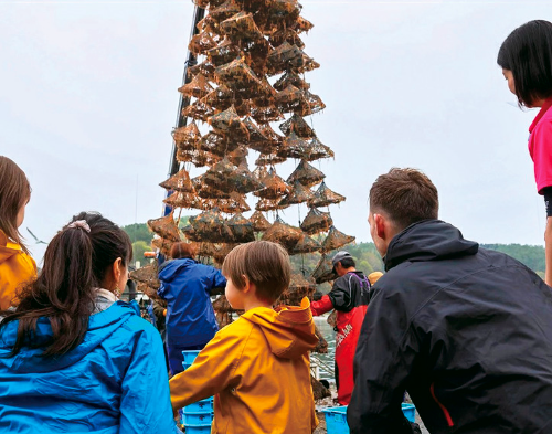 【ふるさと納税大賞・第2弾】見逃し厳禁! 超レア返礼品、極上体験、子育て世帯に嬉しい逸品を発表