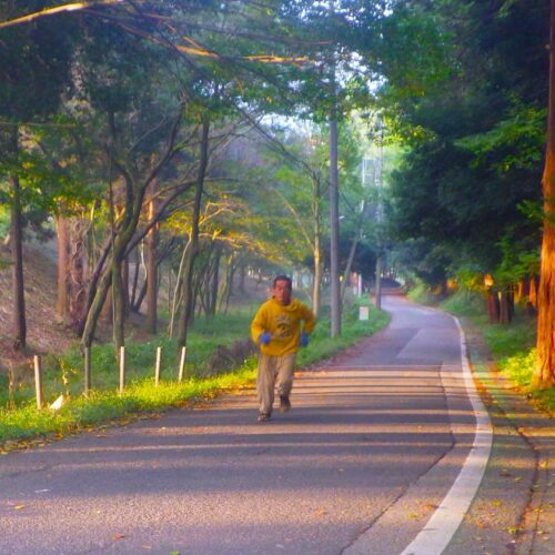 このところずっと、10時にベッドの明かりを消して6時に目覚めるという生活をしている。