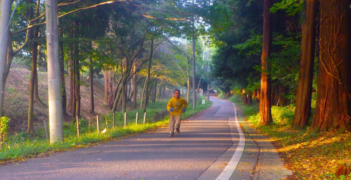このところずっと、10時にベッドの明かりを消して6時に目覚めるという生活をしている。