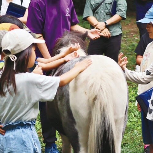 今年のサマーキャンプでは、低学年も親子で参加。ポニーふれあい体験をもとに、教師も舌を巻く難問クイズを制作・発表した。