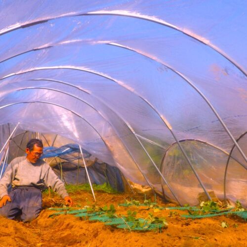 田舎暮らしとは「ワーク・イズ・ライフ」である／自給自足を夢見て脱サラ農家40年（77）【千葉県八街市】