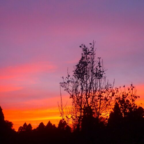 真っ赤に染まる西の空を仰ぎながら、ああ今日もよく働いた、明日もがんばるぞ