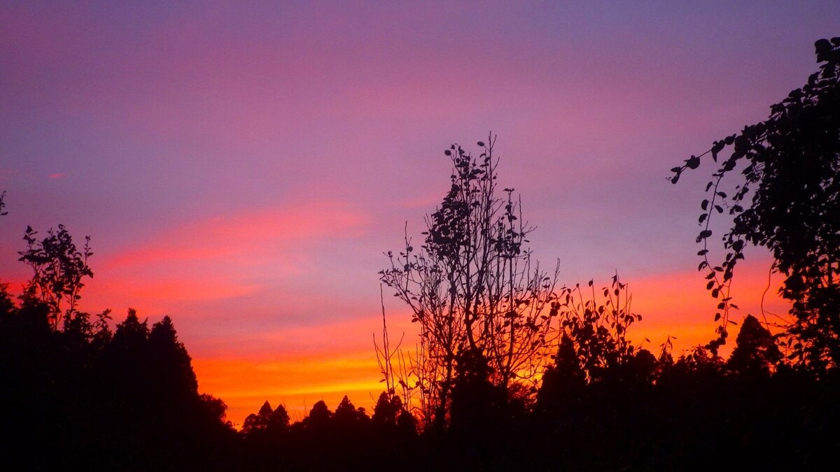 真っ赤に染まる西の空を仰ぎながら、ああ今日もよく働いた、明日もがんばるぞ