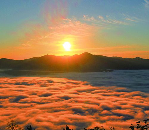 岩手県遠野市の高清水展望台から望む雲海