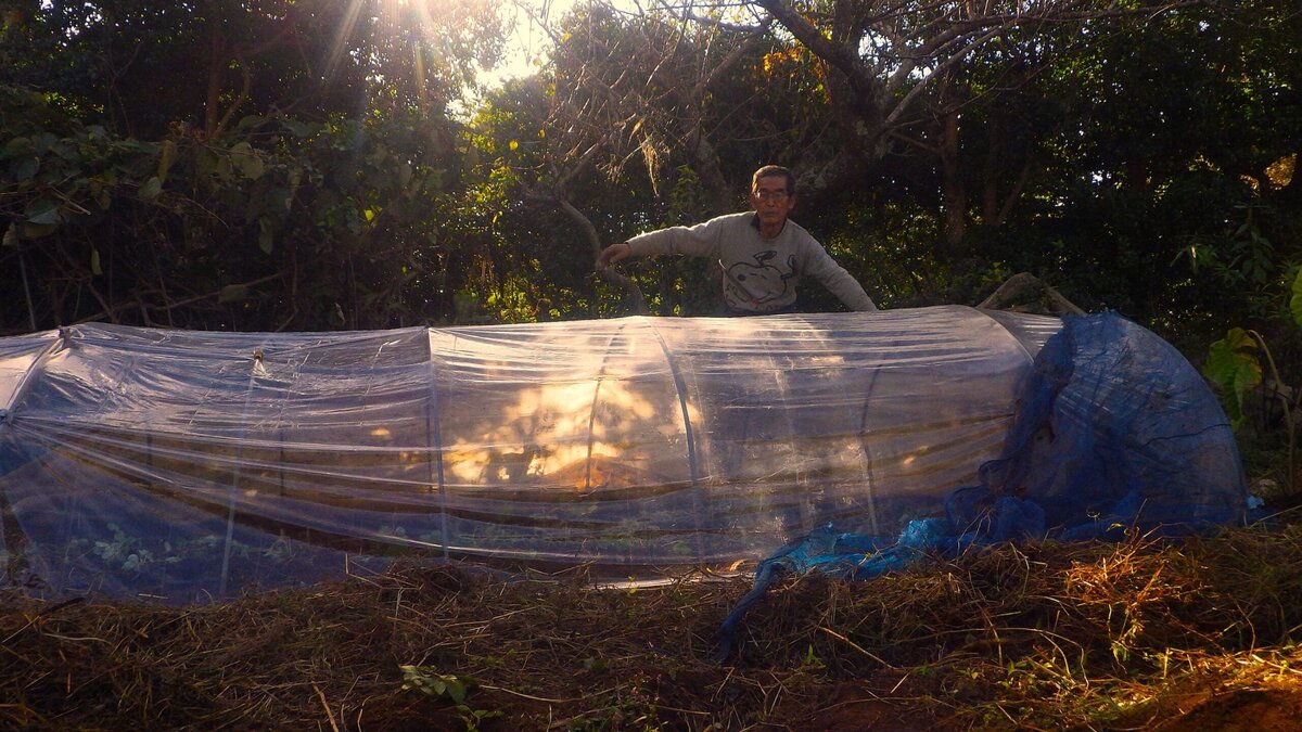 貧しさと豊かさとその真ん中あたりにある田舎暮らし