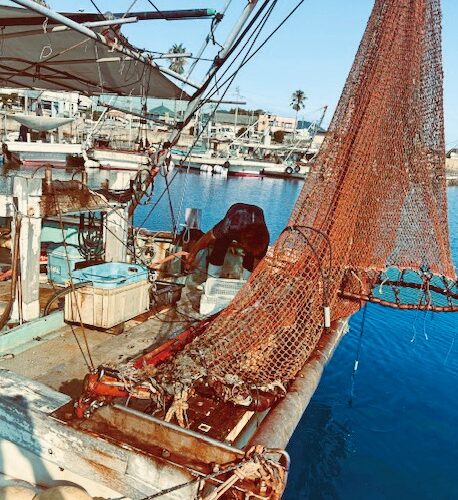 漁業を仕事にする! in 中国エリア|【広島県福山市】瀬戸内の海で未経験から漁師として船を持って独立!