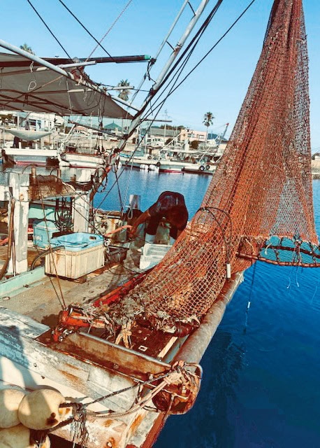 底びき網を載せた内さんの船。中古の漁船が入手でき、市の補助制度も利用して低資金で独立できた/広島県福山市