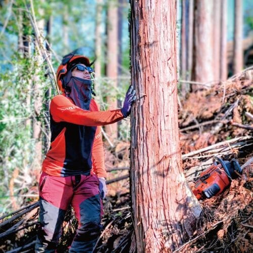 林業を仕事にする in 中国エリア|【岡山県新見市】「日本の山にもう一度目を向けて」、現場で体験する林業の魅力
