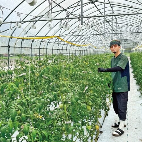 農業を仕事にする in 中国エリア|【鳥取県日南町】田舎のよさを再認識してUターン。町の特産を支えるトマト農家に