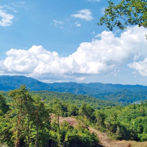 林道の先には、一般の人が知らない絶景ポイントが待っていることも。