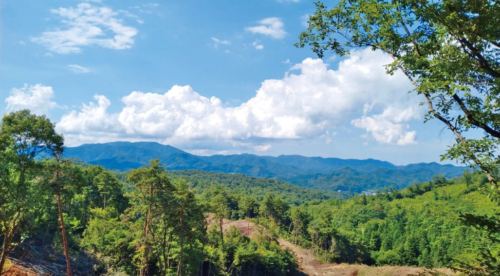 林道の先には、一般の人が知らない絶景ポイントが待っていることも。