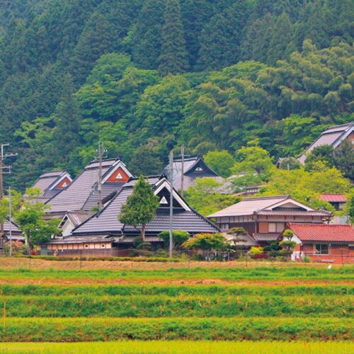 【空き家バンク利用のススメ】物件成約数が多い自治体をチェックしてみよう!