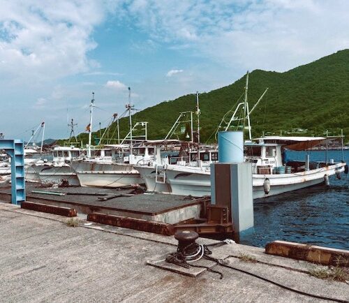 漁港には波穏やかな瀬戸内海で操業する小型の漁船が並ぶ/広島県福山市