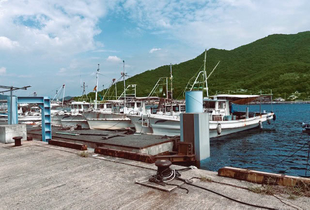 漁港には波穏やかな瀬戸内海で操業する小型の漁船が並ぶ/広島県福山市