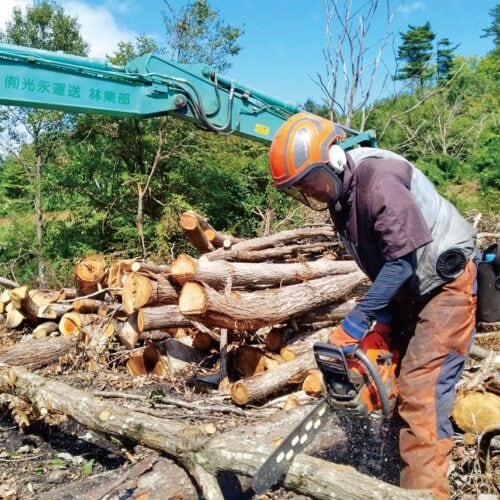 「まだ5カ月目ですが、伐倒などの技術が少しずつ上がっているのを感じられます」と、水出さん。
