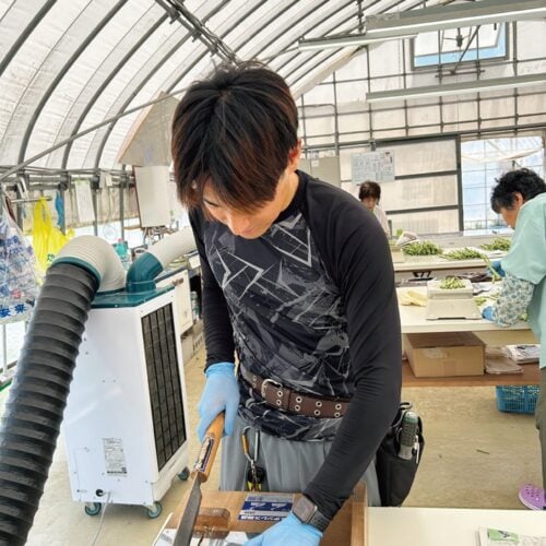 根元のかたい部分を切り落として出荷。