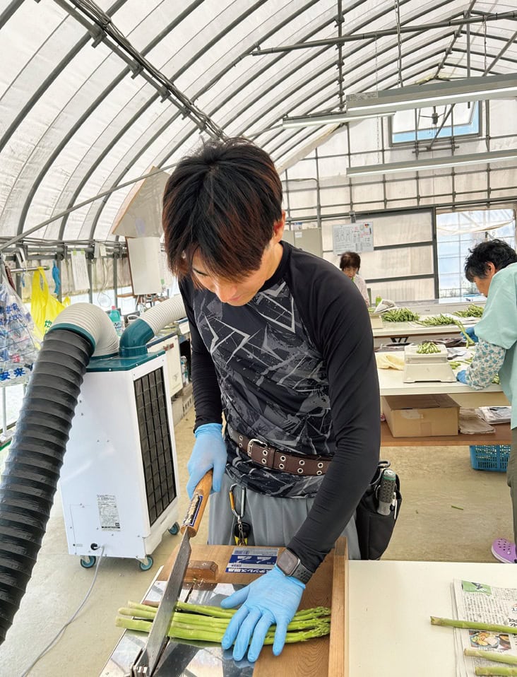 根元のかたい部分を切り落として出荷。