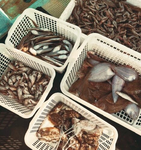 “漁師の浜売り”ではヒラメ、クルマエビ、タコなど獲れたばかりの魚介を漁師が直接販売/広島県福山市