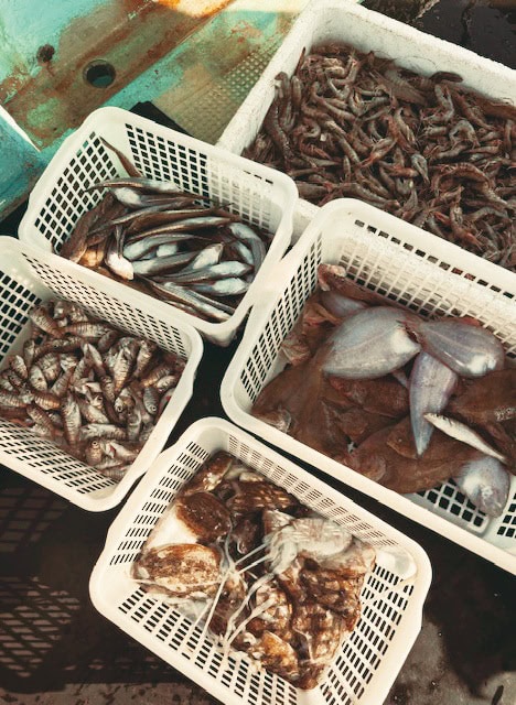 “漁師の浜売り”ではヒラメ、クルマエビ、タコなど獲れたばかりの魚介を漁師が直接販売/広島県福山市