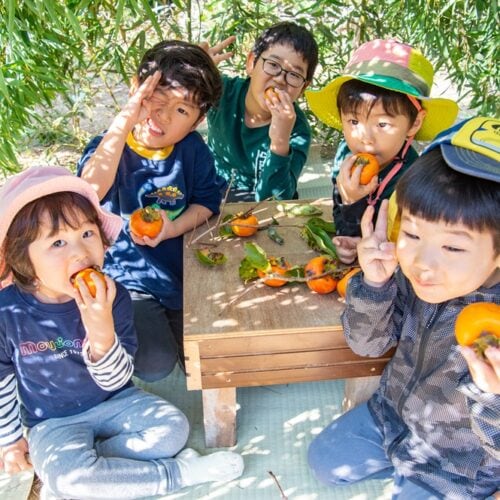 家の中は子どもが5人で入っても余裕の広さ! 幼いときに誰もが憧れた秘密基地が、3時間足らずで完成した/大分県豊後高田市