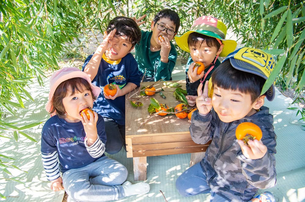 家の中は子どもが5人で入っても余裕の広さ! 幼いときに誰もが憧れた秘密基地が、3時間足らずで完成した/大分県豊後高田市