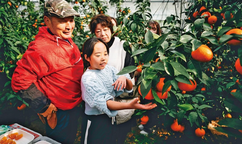 松山暮らしを体感できる移住体感ツアーを実施(愛媛県松山市)