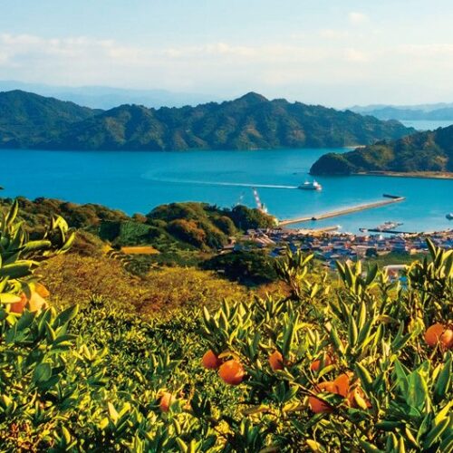 松山港沖の東西約20km、南北約28kmにわたって広がる忽那諸島。9つの有人島を含む大小30以上の島々で構成されている(愛媛県松山市)