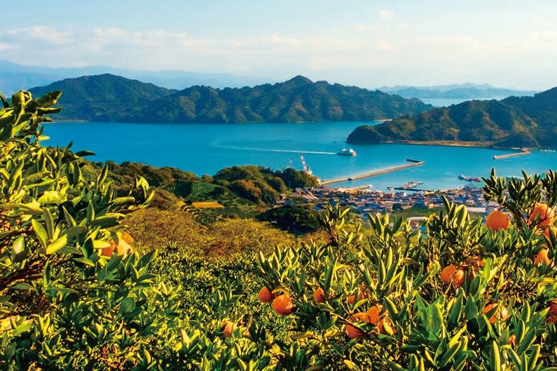 松山港沖の東西約20km、南北約28kmにわたって広がる忽那諸島。9つの有人島を含む大小30以上の島々で構成されている(愛媛県松山市)