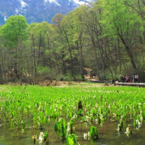 長野県長野市の奥裾花自然公園