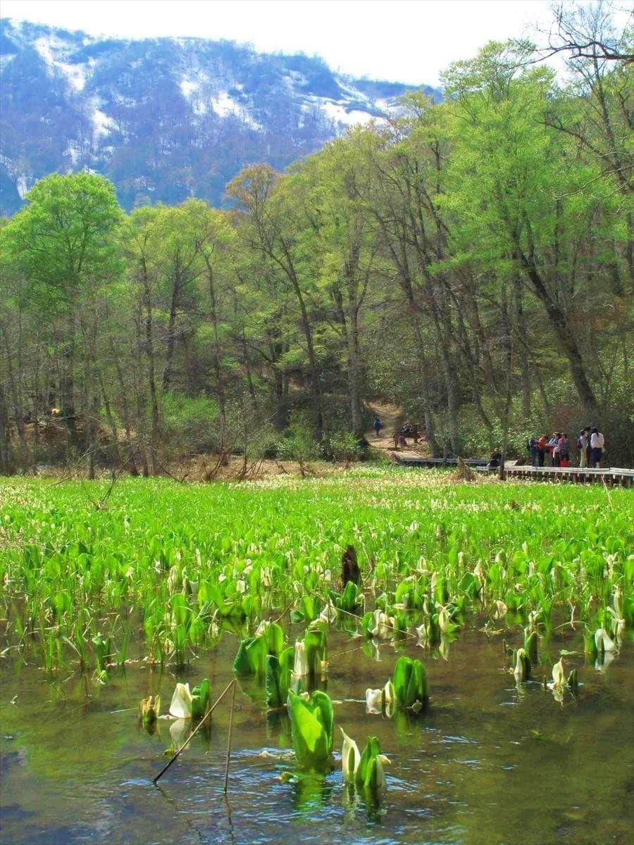 長野県長野市の奥裾花自然公園