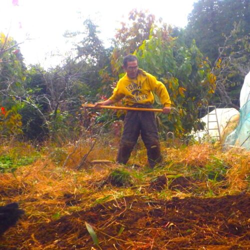 まだ午後5時前だというのに空気の冷たさは強烈。
