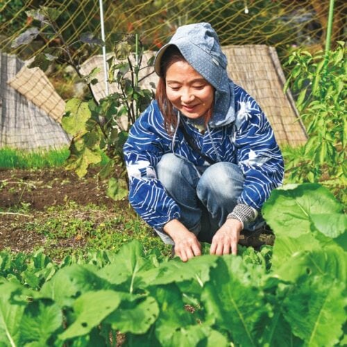 敷地内の菜園で(兵庫県上郡町)