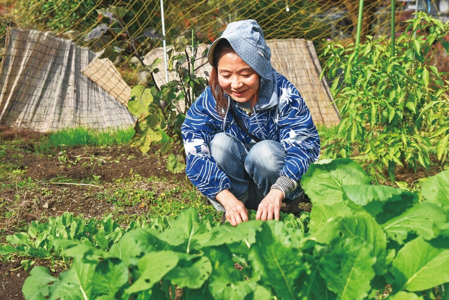敷地内の菜園で(兵庫県上郡町)