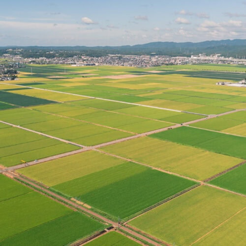 全国第3位・北陸エリア第1位 なぜ坂井市は選ばれた? 【2026年版 住みたい田舎ベストランキング】躍進の理由