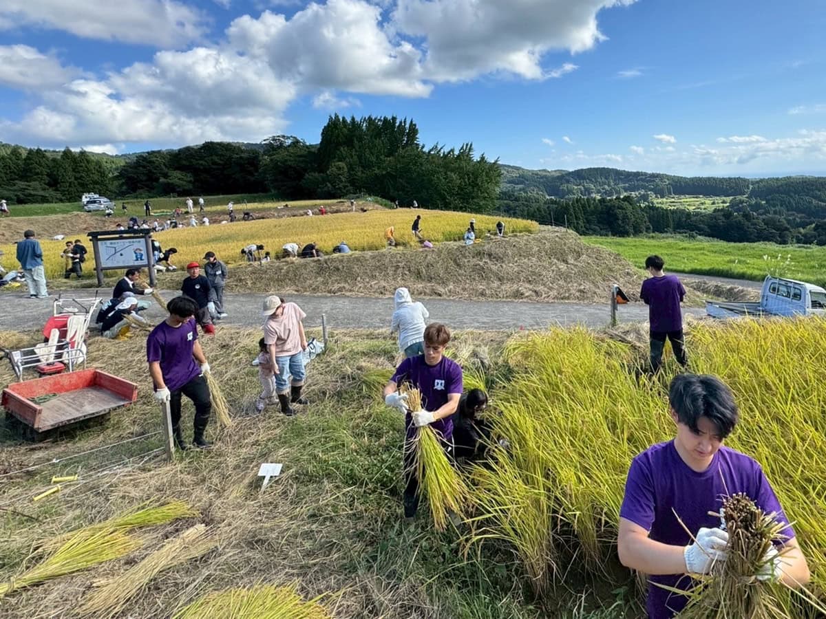 チームに要請があれば稲刈りにもメンバーを派遣。そうした活動からビジネスにつながることも