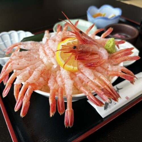 【保存版】新潟の道の駅おすすめ5選|日本海絶景・温泉・体験型スポットを厳選紹介