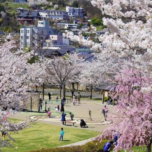 長野県長野市の中心部にある城山公園