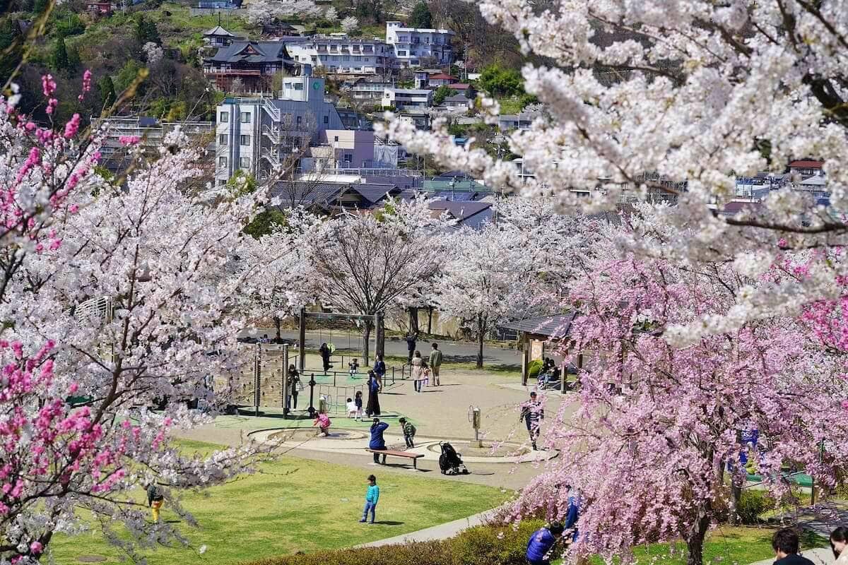 長野県長野市の中心部にある城山公園