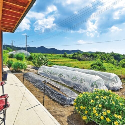 リビングのすぐ前に広がる菜園は南向きで日当たりも眺望も良好。彩りとして手前に花を植えている/兵庫県淡路市「淡路クラインガルテン野田尾」